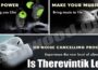 Is Therevintik Legit (June 2021) Read & Decide To Buy!