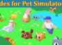 Codes For Pet Simulator X (July) Know The Steps Below!
