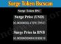 Surge Token Bscscan (Aug) Let Us Check The Exact Values!
