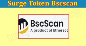 Surge Token Bscscan (Aug) Let Us Check The Exact Values!