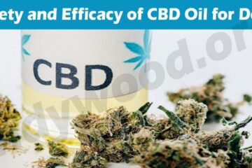 Latest News Safety and Efficacy of CBD Oil for Dogs