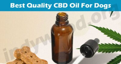 The Top Best Quality CBD Oil For Dogs