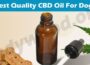 The Top Best Quality CBD Oil For Dogs