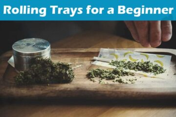 Latest News Rolling Trays for a Beginner
