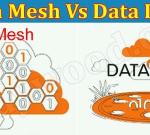 Complete Guide information Data Mesh Vs Data Lake
