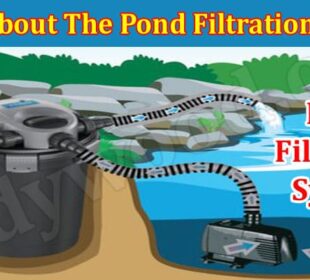 Know About The Pond Filtration System