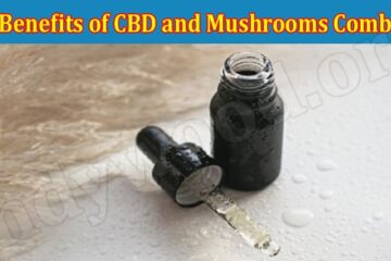 The Benefits of CBD and Mushrooms Combined