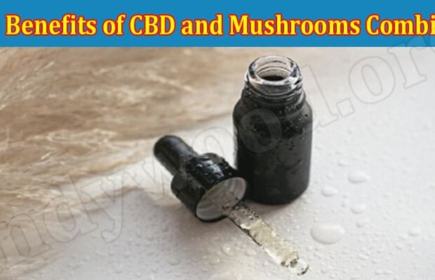 The Benefits of CBD and Mushrooms Combined