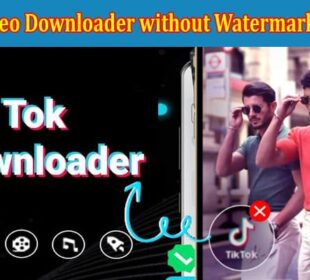 TikTok Video Downloader without Watermark Extension – Tool for Easy Video Downloading 