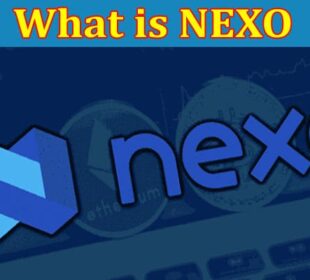 Complete Guide Information What is NEXO