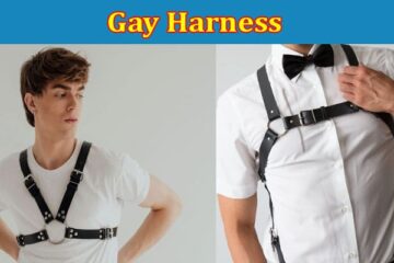 Complete Information About How to Find a Gay Harness That Won’t Leave You Feeling Let Down